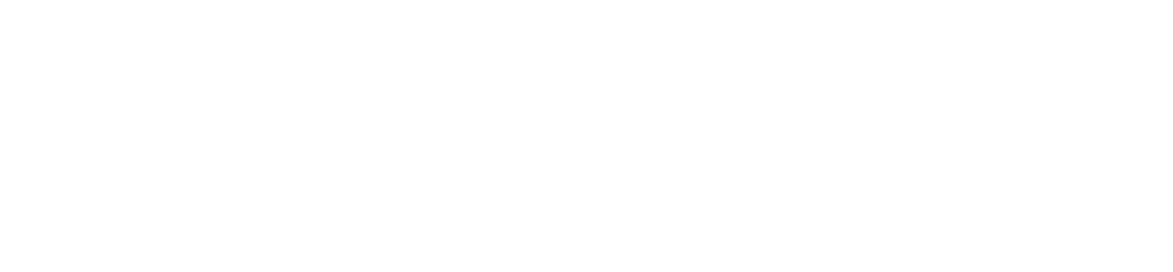 Petstylist | Kedi ve Köpek Kuaförü